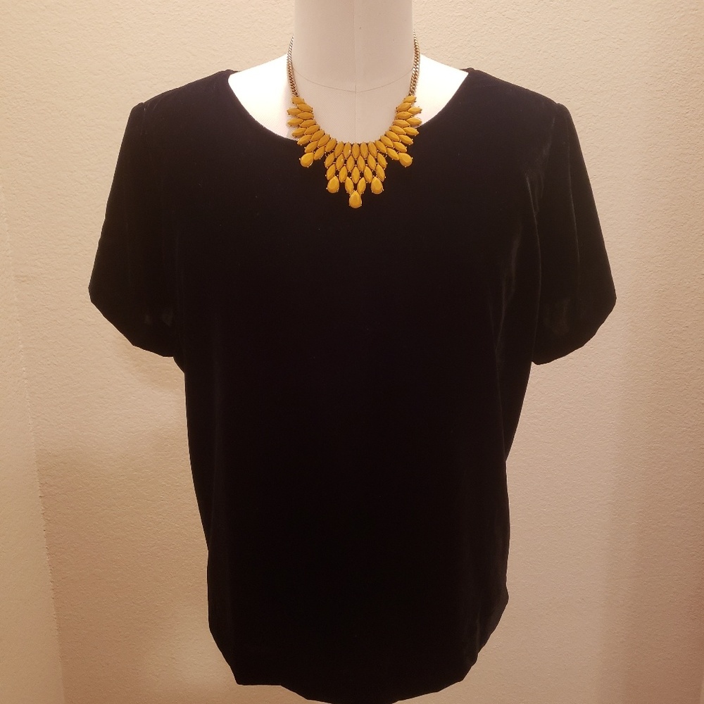 JCrew Velvet Short Sleeve Shirt in Size 3X